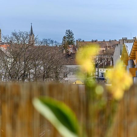 Market Apartman Σόπρον Εξωτερικό φωτογραφία
